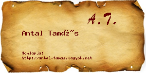 Antal Tamás névjegykártya