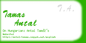 tamas antal business card